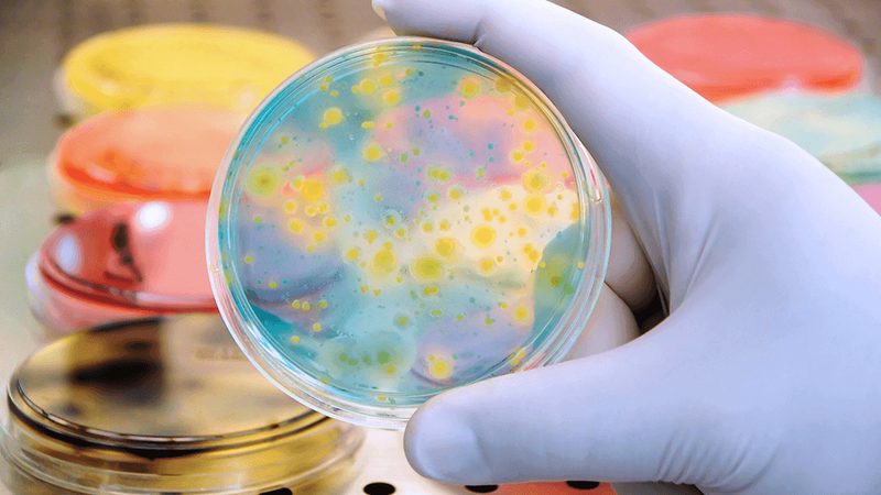 抗体药物生物类似药治疗费用：揭秘成本构成与优化策略**