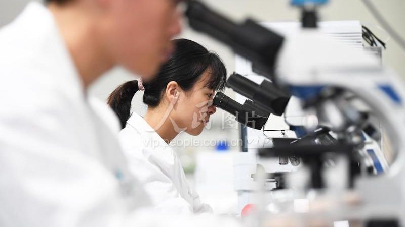 生物科技公司内控标准：构建合规与安全的基石