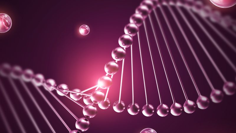 引言：引物在分子生物学研究中的重要性