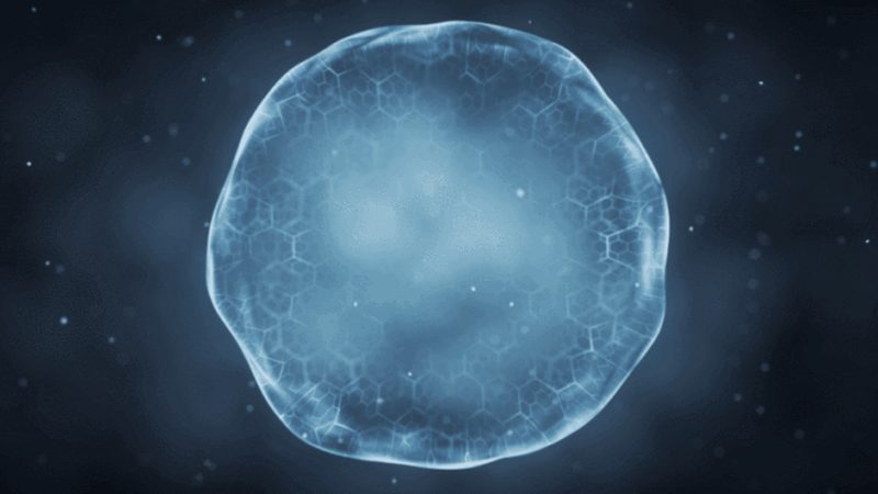 生物医药CDMO排名背后，藏着哪些行业真相