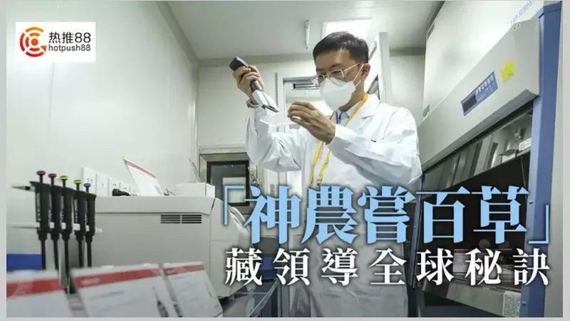 细胞培养箱污染：如何有效处理与预防**