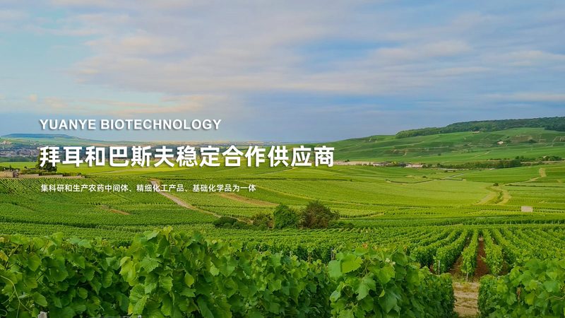 生物科技企业标准备案流程：合规之路的每一步