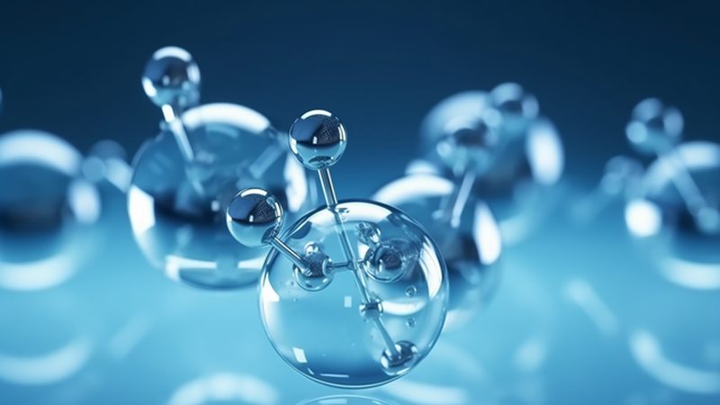 生物制品定制加工质量管理体系：构建与保障