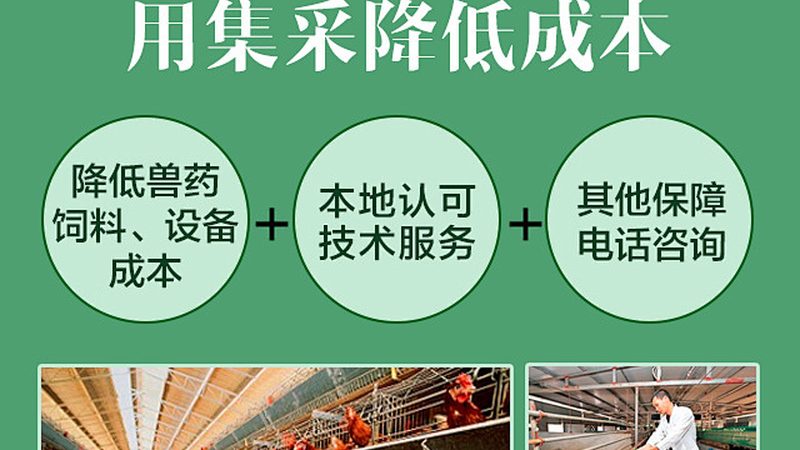 耐高温酶：揭秘其背后的技术奥秘与应用**
