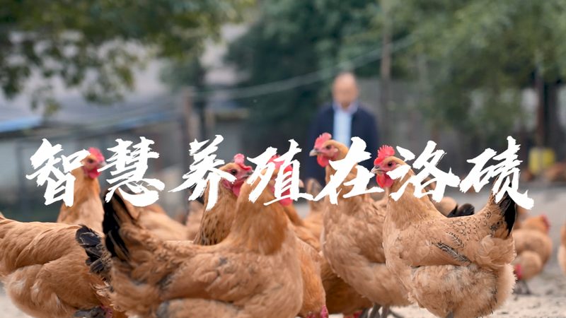 基因测序技术在单基因病诊断中的应用与选择